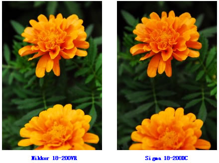 18-200mm变焦镜头对比      nikkor 18-200vr的最近对焦距离为50公分